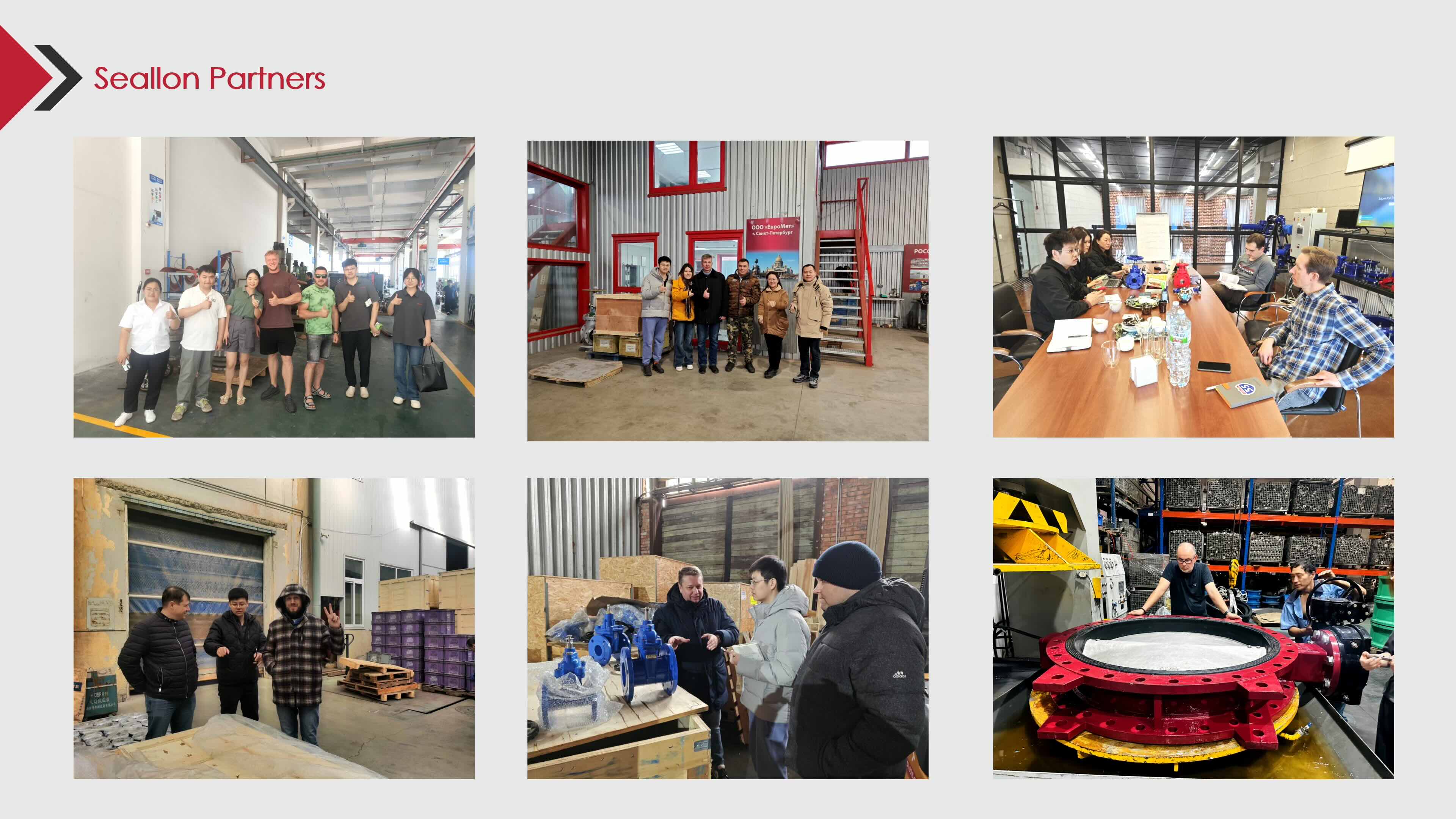 Seallon certification support