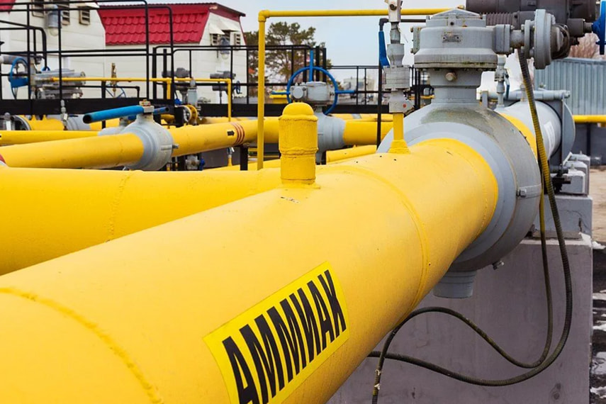 Ammonia-rated globe valves were selected the Chemical Plant in Gomel, Belarus