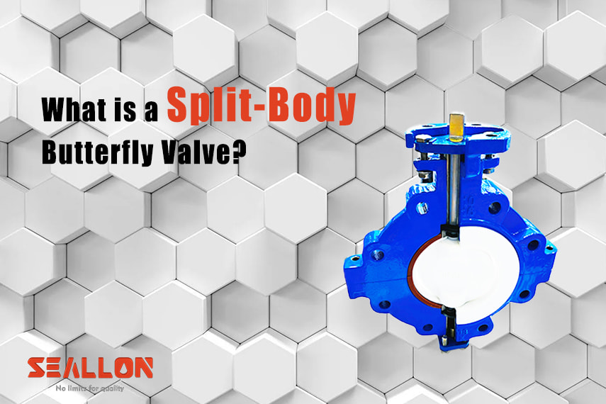 Research: What is a Split-body Butterfly Valve?