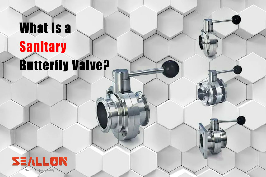 Research: What Is a Sanitary Butterfly Valve?